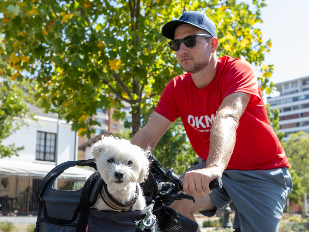 The DKMS supporter Benedikt, wearing sunglasses, a cap, and a red DKMS t-shirt, rides a bicycle outdoors. His small white dog Bruno sits in a front bike basket, looking at the camera. Trees and buildings are visible in the background. The DKMS supporter Benedikt, wearing sunglasses, a cap, and a red DKMS t-shirt, rides a bicycle outdoors. His small white dog Bruno sits in a front bike basket, looking at the camera. Trees and buildings are visible in the background.