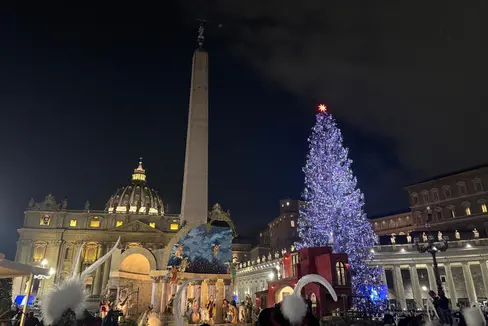 Dal 15 dicembre, l'abete rosso della Val d'Ultimo illumina Piazza San Pietro a Roma con i suoi bagliori natalizi. (Foto: USP/Katharina Fleischmann)