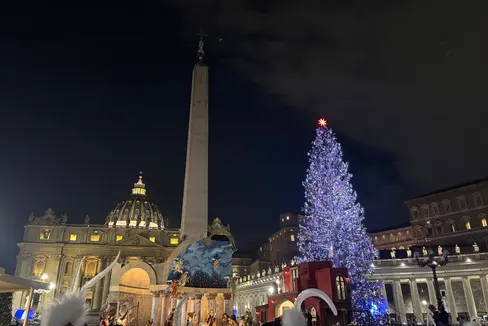 Dal 15 dicembre, l'abete rosso della Val d'Ultimo illumina Piazza San Pietro a Roma con i suoi bagliori natalizi. (Foto: USP/Katharina Fleischmann)