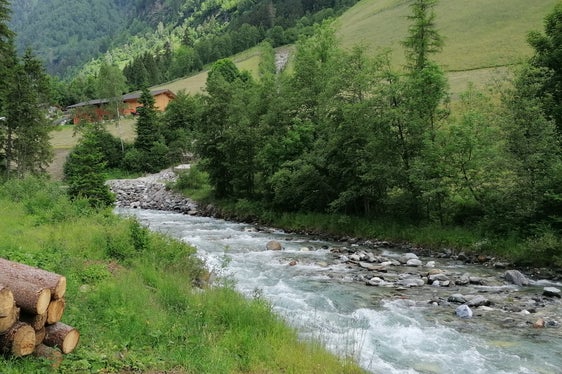 Il Teisslgraben prima dell'intervento: l'area boschiva del Teisslgraben si trovava al di sopra del letto del torrente. (Foto: USP/Ufficio Sistemazione bacini montani Nord presso l’Agenzia per la Protezione civile)