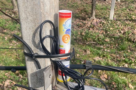 Gli studenti del quarto anno del corso di frutticoltura e viticoltura della Scuola professionale Laimburg hanno realizzato un progetto particolarmente orientato alla pratica e interdisciplinare, costruendo un sensore antigelo. (Foto: USP/Scuola professionale Laimburg)