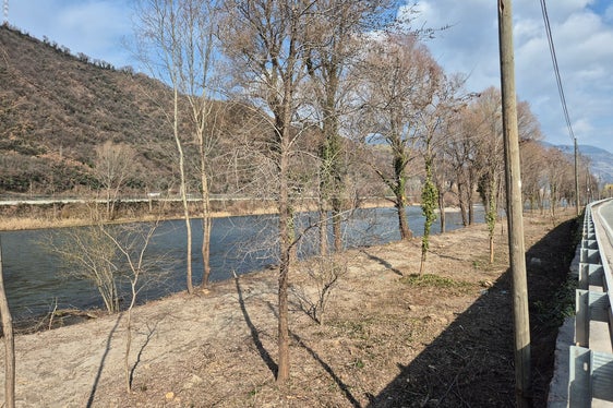Die Pflege von Flussufern ist ein wesentlicher Bestandteil des Hochwasserschutzes. Durch gezielte Durchforstungen und regelmäßige Maßnahmen wird die Gefahr von Überschwemmungen verringert und gleichzeitig die ökologische Qualität der Gewässer erhalten. (Foto: LPA/Amt für Wildbach- und Lawinenverbauung Süd in der Agentur für Bevölkerungsschutz)