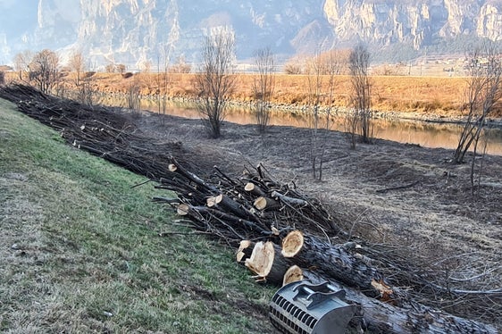 Die Arbeiter der Wildbachverbauung holzen im Zuge genau definierter Pflegearbeiten Jahr für Jahr zu hohe Bäume an Engstellen der Etsch und ihrer Seitenbäche und im Bereich von Brücken ab, dünnen zu dichten Pflanzenbewuchs aus und entfernen oft meterhohe Sandbänke. (Foto: LPA/Landesamt für Wildbach- und Lawinenverbauung Süd)