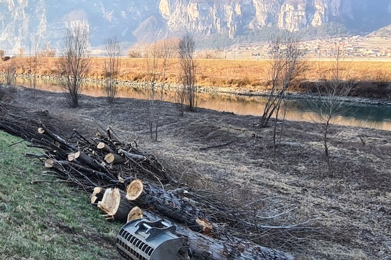 Nell'ambito di interventi di manutenzione, vengono tagliati gli alberi troppo alti nei tratti stretti lungo il fiume Adige, lungo gli affluenti e vicino ai ponti, la vegetazione incolta viene sfoltita e vengono rimossi banchi di sabbia alti anche fino ad un metro. (Foto: ASP/Ufficio Sistemazione bacini montani Sud)