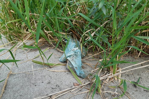 Unsachgemäße entsorgte Plastikabfälle werden durch die Witterung zerkleinert und gelangen in Form von Mikroplastik in die Wasserläufe. In Südtirol überwacht die Landesumweltagentur seine Verbreitung. (Foto: LPA/Landesagentur für Umwelt und Klimaschutz)