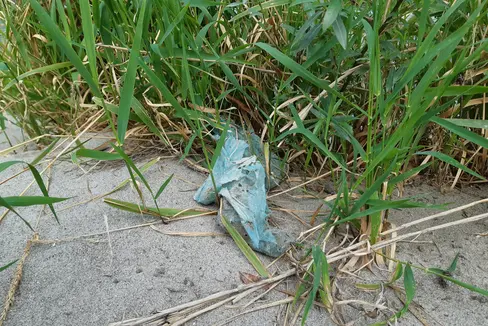 Un frammento di plastica abbandonato. In provincia di Bolzano il fenomeno da inquinamento da plastica viene costantemente monitorato dall'Agenzia provinciale per l'ambiente e la tutela del clima (Foto: ASP/APPA)