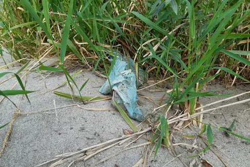 Unsachgemäße entsorgte Plastikabfälle werden durch die Witterung zerkleinert und gelangen in Form von Mikroplastik in die Wasserläufe. In Südtirol überwacht die Landesumweltagentur seine Verbreitung. (Foto: LPA/Landesagentur für Umwelt und Klimaschutz)