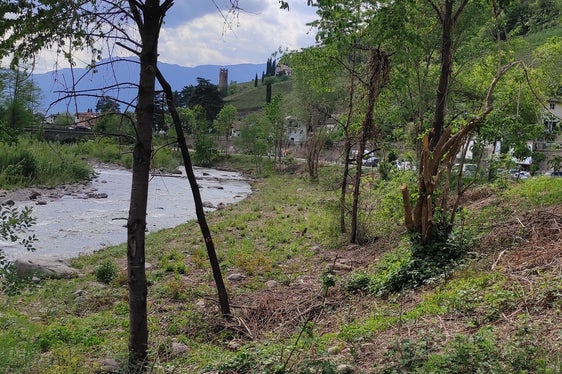 Per motivi di sicurezza la vegetazione lungo il Talvera viene regolarmente diradata; la foto è stata scattata durante i lavori dell'anno scorso sul lato destro orografico sotto la stazione a valle della funivia di San Genesio. (Foto: ASP/Ufficio bacini montani Nord)