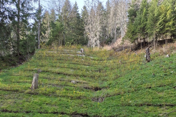 Archivbild: Das Amt für Wildbach- und Lawinenverbauung Ost hat die ingenieurbiologischen Maßnahmen nach der Rutschung nach Starkregen am Bacheinhang des Gruipbaches im Mai 2025 abgeschlossen; das Bild entstand während eines Kontrollgangs im November. (Foto: LPA/Amt für Wildbach- und Lawinenverbauung Ost in der Agentur für Bevölkerungsschutz)