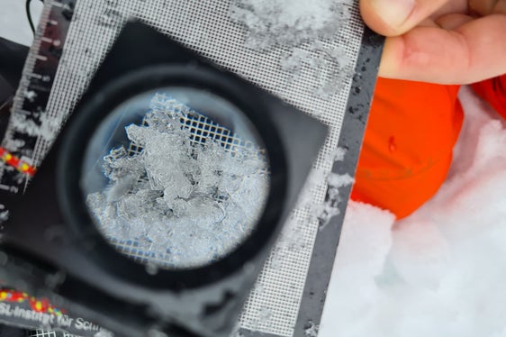 Becherkristalle unter der Lupe: In wöchentlichen Blogs haben die Mitarbeiterinnen und Mitarbeiter des Lawinenwarndienstes die Schnee- und Lawinensituation sowie Lawinenunfälle anhand von Stationsdaten, Schneedeckenuntersuchungen und mit Bildern erklärt. (Foto: LPA/Lawinenwarndienst Südtirol)