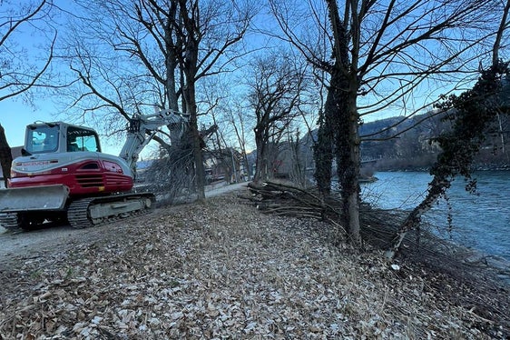 Eine regelmäßige Durchforstung und Pflege der Ufervegetation ist von grundlegender Bedeutung für den Hochwasserschutz; das Bild von heute entstand am Eisack in Brixen. (Foto: LPA/Landesamt für Wildbach- und Lawinenverbauung Nord)