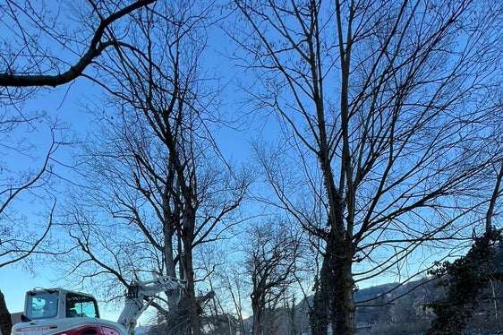 Eine regelmäßige Durchforstung und Pflege der Ufervegetation ist von grundlegender Bedeutung für den Hochwasserschutz; das Bild von heute entstand am Eisack in Brixen. (Foto: LPA/Landesamt für Wildbach- und Lawinenverbauung Nord)