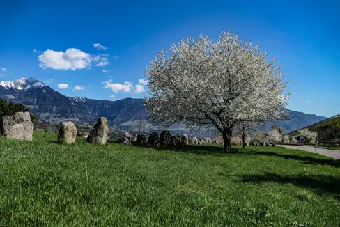 Immagine del mese aprile 2025: progetto “Età della pietra” a Lagundo (Foto: USP/Martin Geier)
