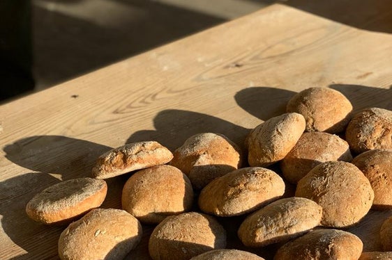 Sabato scorso sono usciti dal forno dei fragranti pani contadini integrali fatti con una miscela di grano e farro. (Foto: ASP/Ufficio Natura)