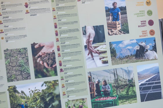 Familienbetriebe und ländlicher Raum, Klima und CO2-Reduktion, Wasser und Boden, Artenvielfalt und Landschaft, Gesundheit und Genuss, Dialog mit der Gesellschaft: Das Strategiepapier LandWIRtschaft 2030 umfasst sechs Handlungsfelder. (Foto: LPA/Tiberio Sorvillo)