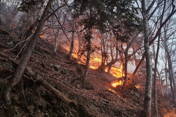 Nelle ultime settimane si sono verificati ripetutamente piccoli incendi boschivi causati da fulmini. In questi giorni il rischio di incendi boschivi sale al secondo livello di allerta più alto, ovvero l’arancione; la popolazione è quindi invitata a prestare maggiore attenzione ed avvisare immediatamente il numero di emergenza 112 qualora si avvistasse un incendio boschivo. (Foto d’archivio: Servizio Forestale Alto Adige)