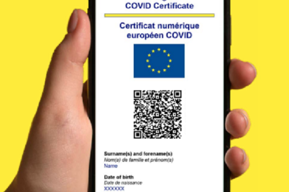 Den Green Pass bezeichnet der Landeshauptmann als Instrument um einem generellen Lockdown vorzubeugen, den wir alle mit allen Kräften vermeiden wollen. (Grafik: LPA)