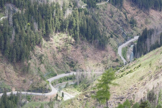 Während der Ausführung der Arbeiten musste die Gadertaler Staatsstraße an drei Wochenenden aus Sicherheitsgründen abschnittsweise für den Verkehr gesperrt werden. (Foto: LPA/Forstinspektorat Bruneck/Forststation St. Vigil in Enneberg)