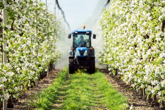 L’accesso ai prodotti fitosanitari sta diventando sempre più complesso a causa di regolamentazioni europee sempre più severe. (Foto: USP/Centro di Sperimentazione Laimburg/Ivo Corrà)
