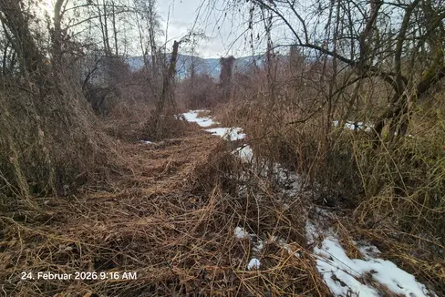 L'Ufficio Sistemazione bacini montani est ha iniziato ad abbattere alcuni alberi e a potare gli arbusti lungo il torrente Rienza nella località di Santa Croce a San Lorenzo di Sebato, al fine di abbassare l'intera superficie di circa un metro e mezzo. (Foto: Ufficio Sistemazione bacini montani est dell'Agenzia per la Protezione civile)