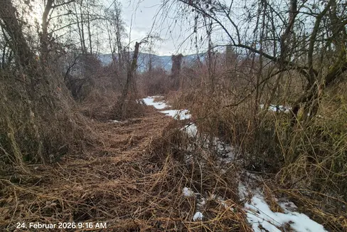 Das Amt für Wildbach- und Lawinenverbauung Ost hat bei der Rienz in der Örtlichkeit Heilig Kreuz in St. Lorenzen begonnen, einige Bäume zu fällen und Sträucher zurückzuschneiden, um die gesamte Fläche um etwa eineinhalb Meter abzusenken. (Foto: Amt für Wildbach- und Lawinenverbauung Ost in der Agentur für Bevölkerungsschutz)
