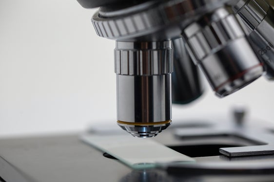 An der Spitze des Eco-Research-Verwaltungsrats wird künftig die Amtsdirektorin Lucia Piva stehen. (Foto: Unsplash)