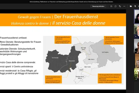 Die Frauenhausdienste beraten, begleiten und unterstützen Frauen in Gewaltsituationen. Sie sind telefonisch erreichbar. (Foto: LPA)