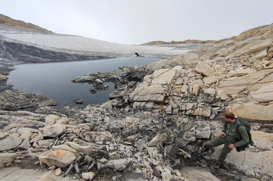 Am Gipfelplateau des Lodner auf fast 3000 Metern wurde im Juli von 4 Bergsteigern ein Fund gemacht, der sich nachträglich als Sensation herausgestellt hat. (Foto: LPA/Forststation St. Leonhard)