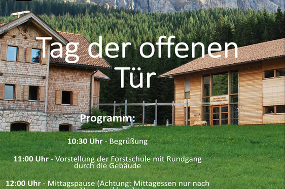 La locandina dell'evento