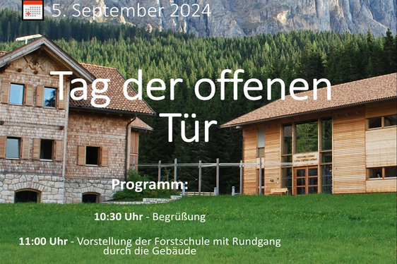 La locandina dell'evento