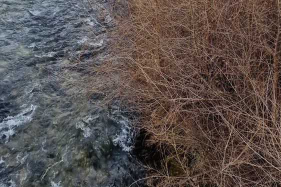 Ab dem 2. März führt das Landesamt für Wildbach- und Lawinenverbauung Ost dringende Instandhaltungsarbeiten an den Uferschutzmauern auf der orografisch rechten Seite der Rienz durch; während dieser Arbeiten muss ein Abschnitt der Brignoles-Promenade gesperrt werden, der verkehr wird umgeleitet. (Foto: LPA/Landesamt für Wildbach- und Lawinenverbauung Ost in der Agentur für Bevölkerungsschutz)