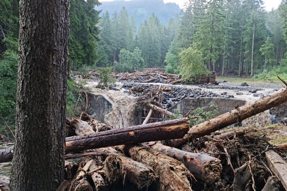 Die Aufnahme von heute zeigt die Materialablagerung im Rückhaltebecken im Frötschbach am Dorfeingang von Seis (Foto: Freiwillige Feuerwehr)