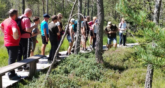Nicht fehlen darf im Sommer das Thema Pilze. Dazu gibt es Wanderungen mit Fachleuten. (Foto: LPA/Landesamt für Natur/Barbara Braunhofer)