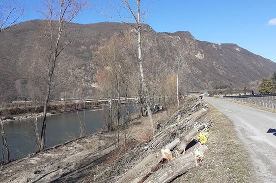Regelmäßig durchgeführte Uferpflegearbeiten sind für den Hochwasserschutz unabdingbar. (Foto: LPA/Landesamt für Wildbach- und Lawinenverbauung Süd)