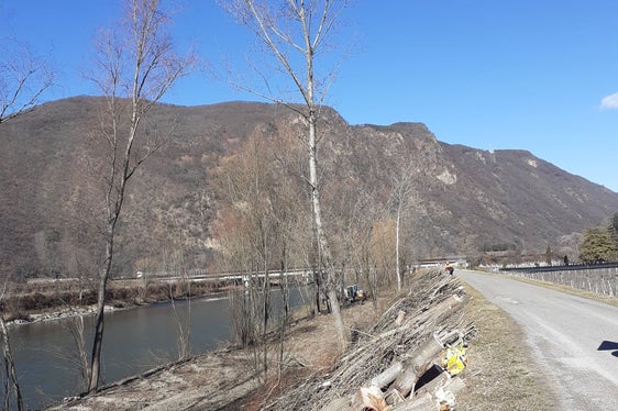 Regelmäßig durchgeführte Uferpflegearbeiten sind für den Hochwasserschutz unabdingbar. (Foto: LPA/Landesamt für Wildbach- und Lawinenverbauung Süd)