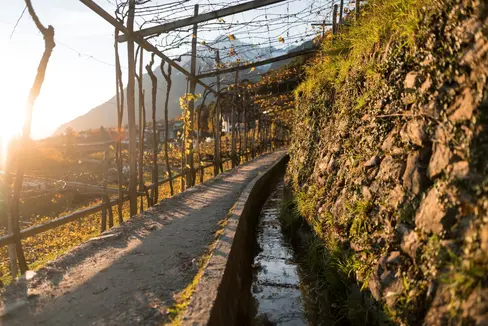 Via libera alla modifica di un allegato della legge provinciale che attribuisce ai sindaci dell'Alto Adige la competenza generale in materia di immissioni di acque meteoriche non inquinate (Foto: IDM Südtirol-Alto Adige/Patrick Schwienbacher)
