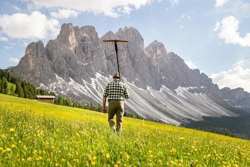Agricoltori e mezzadri possono richiedere un sostegno alla contribuzione previdenziale tramite il patronato. (Foto: IDM/Sennereiverband Südtirol/Marco Parisi)