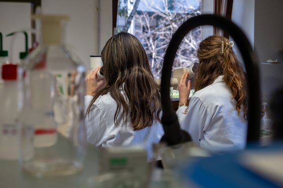 Previsioni, rapporti e calendari pollinici: le informazioni fornite dal Servizio di informazione pollinica sono ampie. Nella foto Veronika Kofler e Magdalena Widmann al lavoro. (Foto: USP/Greta Stuefer)