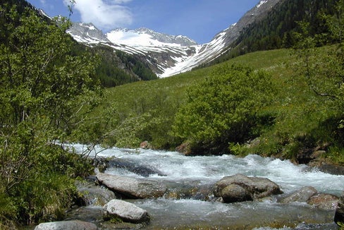 Definisce l'orientamento sostenibile della pesca in Alto Adige: la nuova legge sulla pesca è stata approvata all'unanimità dal Consiglio provinciale. (Foto: ASP/Ufficio provinciale Caccia e pesca)
