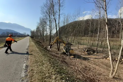 Die Arbeiten an der uferbegleitenden Vegetation entlang der Etsch zwischen Meran und Salurn beginnen in den Tagen nach dem 14. Februar (Aufnahme aus dem Vorjahr). (Foto: LPA/Landesamt für Wildbach- und Lawinenverbauung Süd)