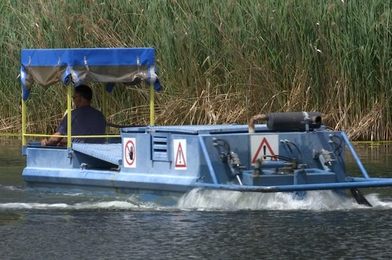 Le piante acquatiche vengono rimosse con una speciale barca falciatrice per eliminare dal lago i nutrienti che intorbidiscono l'acqua. L'immagine mostra il lavoro di sfalcio al laghetto di Fiè. (Foto: ASP/Laboratorio Biologico)