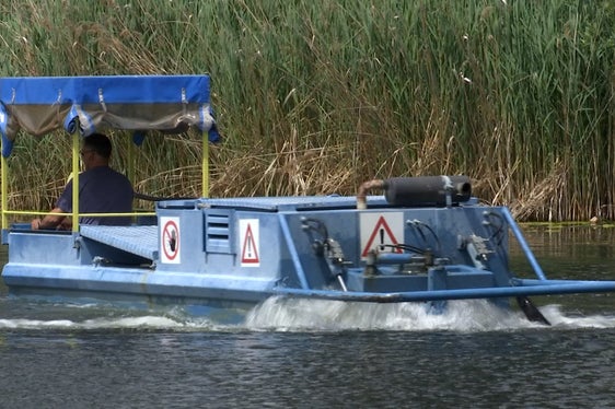Le piante acquatiche vengono rimosse con una speciale barca falciatrice per eliminare dal lago i nutrienti che intorbidiscono l'acqua. L'immagine mostra il lavoro di sfalcio al laghetto di Fiè. (Foto: ASP/Laboratorio Biologico)