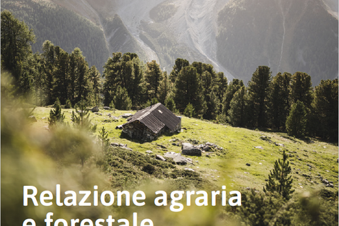 Il 21 luglio, l'assessore provinciale Luis Walcher presenterà, nel corso di una conferenza stampa, insieme ai rappresentanti dei vari settori, la Relazione agraria e forestale 2025. (Foto: USP)