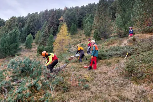 Naturschutz und Schutz von Artenvielfalt in der Praxis: Durch ihren Einsatz erlangten die Schülerinnen und Schüler ein besseres Verständnis für diese Themen. (Foto: LPA/Landesamt für Natur/Markus Kantioler)