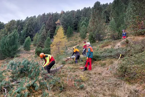 Naturschutz und Schutz von Artenvielfalt in der Praxis: Durch ihren Einsatz erlangten die Schülerinnen und Schüler ein besseres Verständnis für diese Themen. (Foto: LPA/Landesamt für Natur/Markus Kantioler)