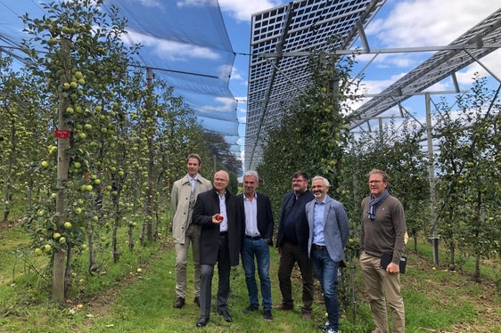 Fachleute bei der Flurbegehung der Anlagen in Haidegg: (v.l.) Franz Grießler, LR Seitinger, LR Schuler, Leonhard Steinbauer (Versuchszentrum Haidegg), Michael Oberhuber und Walter Guerra (beide Versuchszentrum Laimburg) (Foto: Land Steiermark)