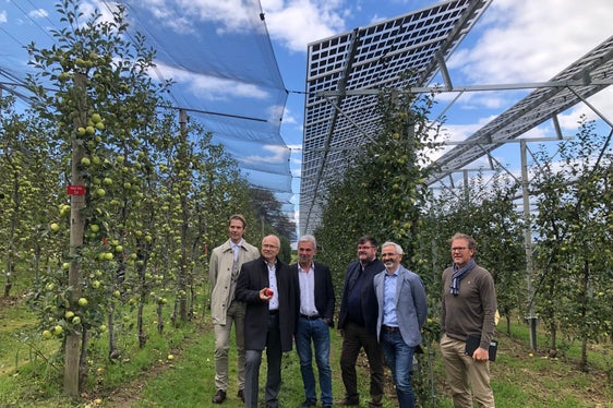 Tecnici ed esperti durante la visita al Centro Haidegg. Da sinistra: Franz Grießler, Seitinger, Schuler, Leonhard Steinbauer (centro sperimentale di Haidegg), Michael Oberhuber e Walter Guerra (entrambi centro sperimentale di Laimburg). (Foto: Land Steienmark)