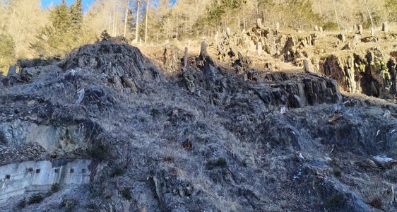 il progetto prevede la messa in sicurezza del versante sovrastante la SS244 attraverso un insieme di opere attive e passive con l’obiettivo di migliorare in modo sostanziale le condizioni di sicurezza della viabilità. Le pareti rocciose più instabili vengono consolidate mediante reti metalliche rinforzate e chiodature, mentre le reti esistenti danneggiate vengono ripristinate. A valle di questi interventi, il sistema di protezione viene completato con l’installazione di nuove barriere paramassi, dimensionate sulla base delle simulazioni di caduta massi. (Foto: USP/Dipartimento Infrastrutture e Mobilità)