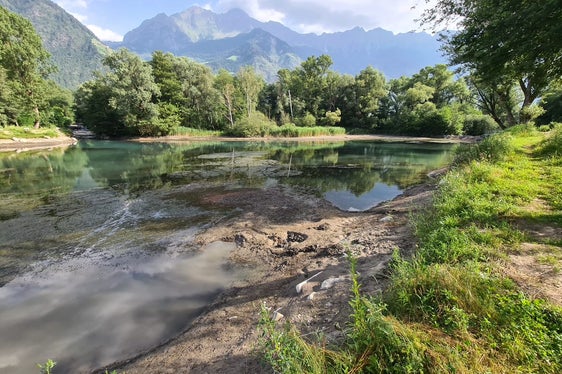 Der Ausbreitung invasiver gebietsfremder Arten gilt es entgegenzuwirken. Im Bild die invasive Wasserpflanze Elodea Nuttallii im Rablander Weiher vor Beginn der Arbeiten. (Foto: LPA/Landesamt für Wildbach- und Lawinenverbauung West in der Agentur für Bevölkerungsschutz)