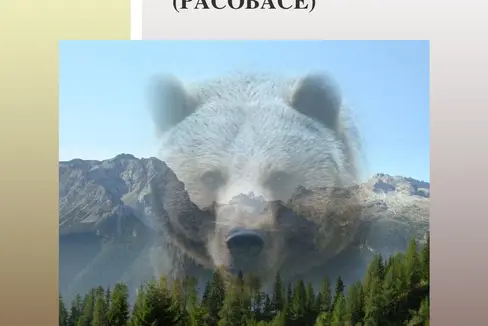 La Giunta ha deciso oggi di estendere la competenza del Gruppo operativo per gli orsi a tutti i grandi predatori (Foto: ASP/Ufficio Gestione fauna selvatica)